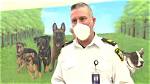 21 Injured After 2 Pit Bull Mixes Get onto School Playground and Attack Students During Recess