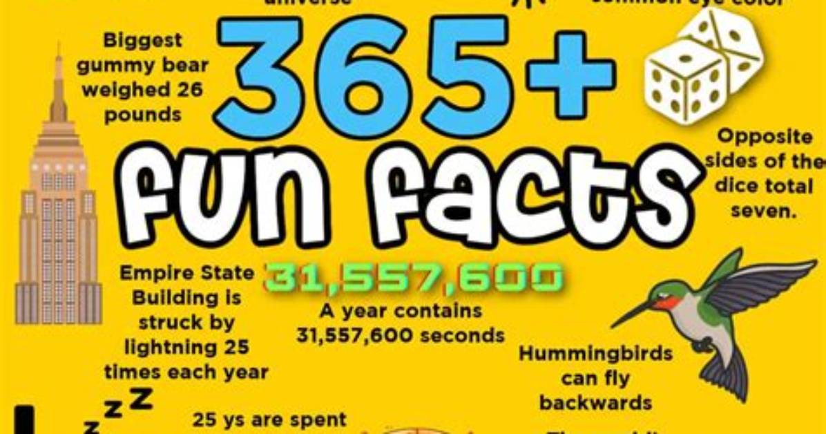 5 Interesting Facts You Need to Know About Kristine Zimmerman