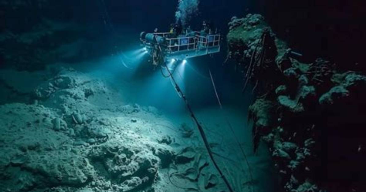 A Journey into Deep-Sea Exploration and Conservation