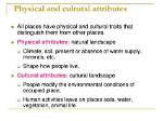 A Journey into Physical Attributes and Cultural Curiosity