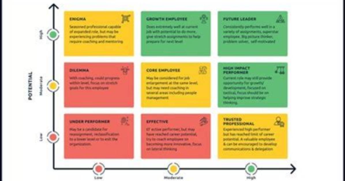 A Journey of Talent, Purpose, and Impact
