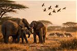 A Journey of Wild Behavior and Life Lessons