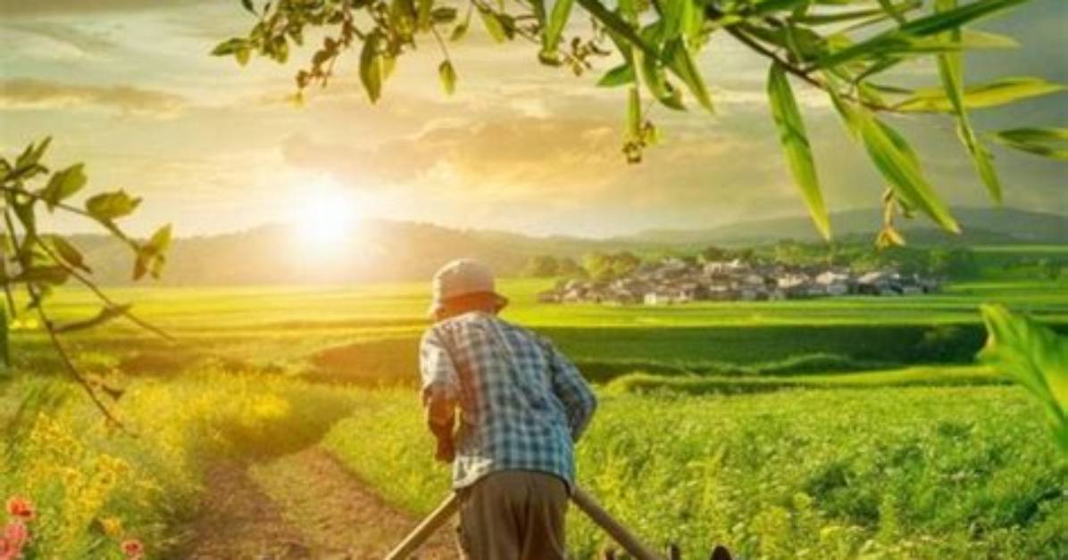 A Path to Sustainable Agriculture