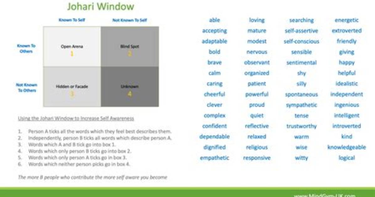 A Window into Discovery and Insight