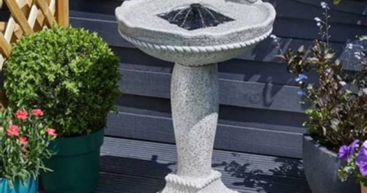 Aldi Bird Bath: the Perfect Addition to Your Garden