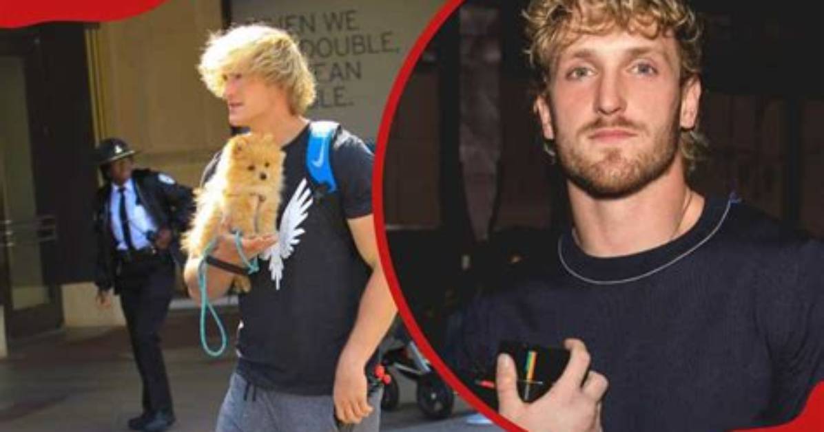 All About Logan Paul's Love Life: Introducing Nina