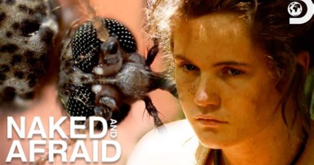 Animal Encounters in the Naked and Afraid