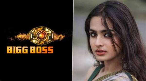 Ayesha Khan's Impact on Big Boss: Unveiling Behind-the-Scenes