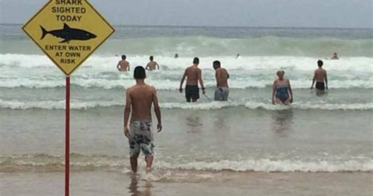 Beach Blunders: Oops at the Shoreline