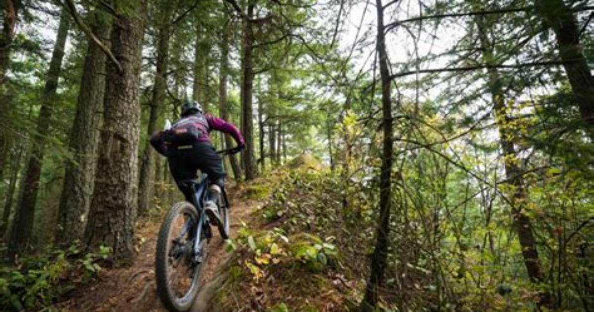 Bellingham Descent: Discover the Thrills of Mountain Biking in Washington State