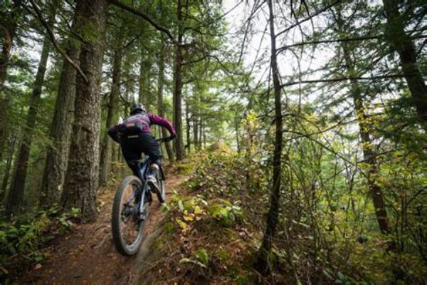 Bellingham Descent: Discover the Thrills of Mountain Biking in Washington State