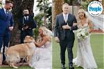 Bride Surprises Groom at Their Wedding by Jokingly Blowing ‘Dust’ off Her Vows: ’15 Year's Together’