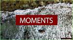 Capturing Moments: the Art of Hisashi Photography