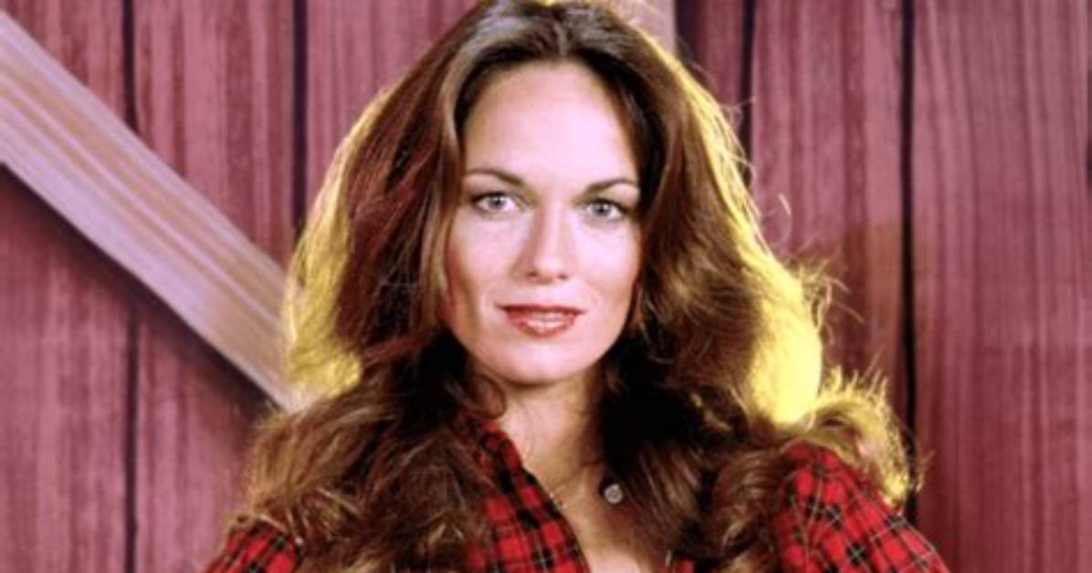 Catherine Bach: a Glimpse into Her Net Worth and Life