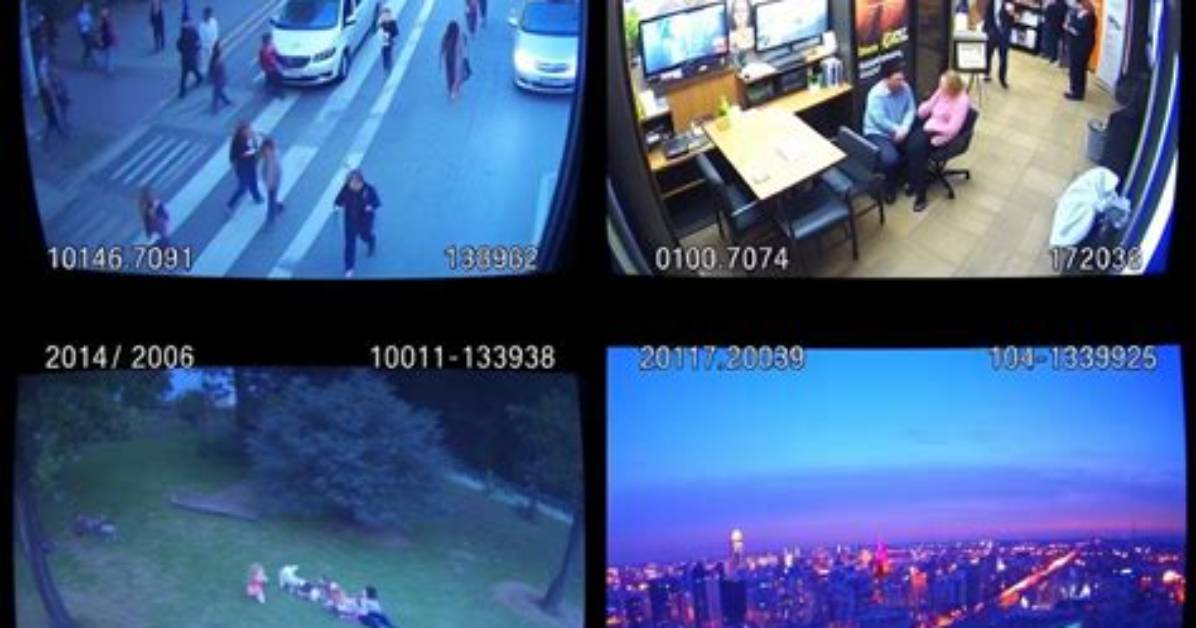 Cctv Chronicles: the Heartwarming Moments of a Mom and Her Kid