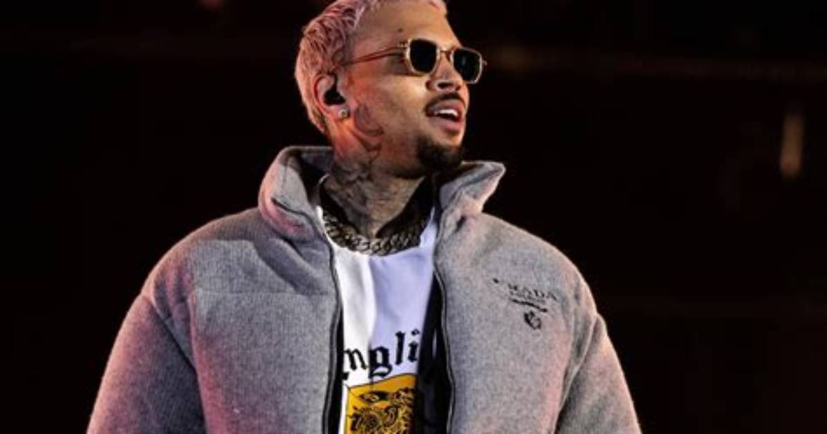 Chris Brown's Monumental Net Worth Revealed in 2023