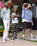 Chris Brown's Weight and Height Unveiled