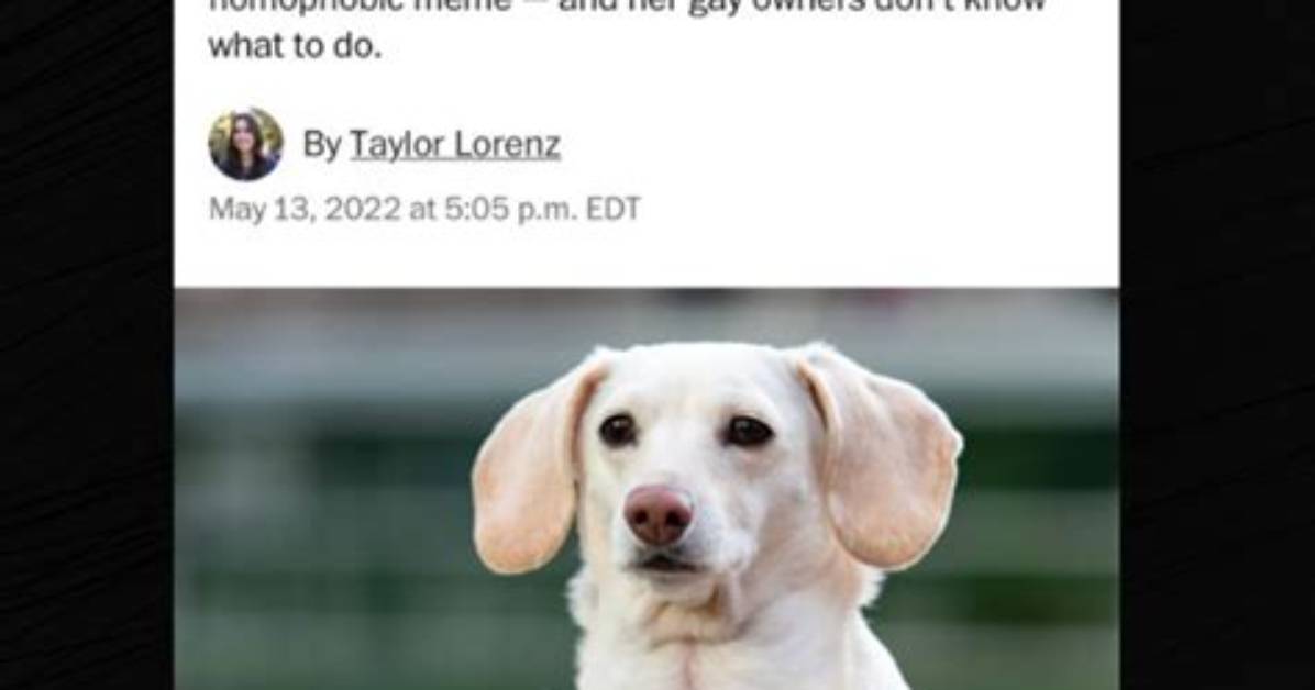 Controversial Homophobic Dog Meme Sparks Outrage