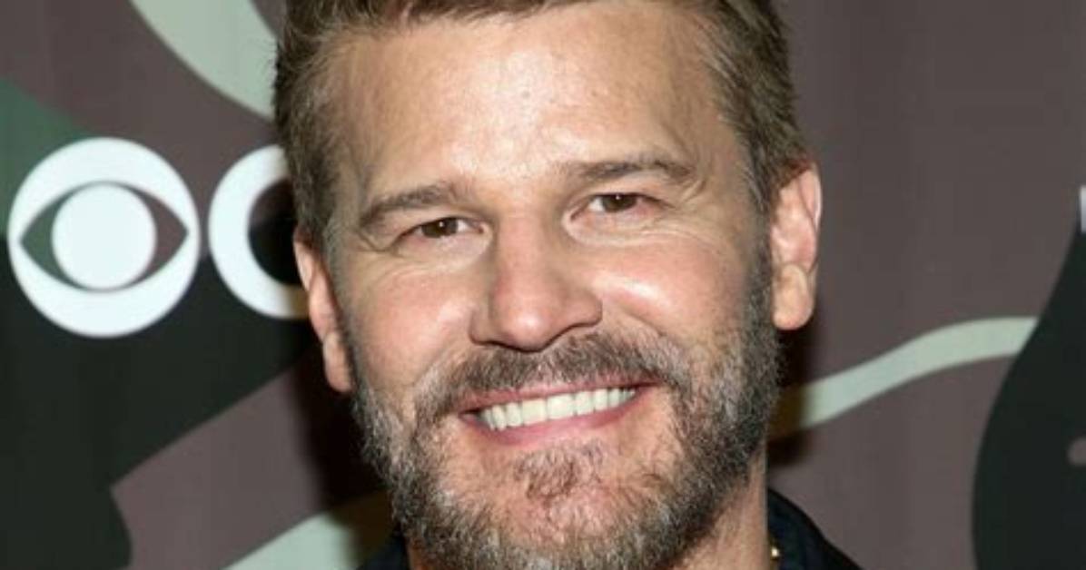 David Boreanaz's Net Worth in 2024