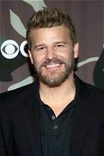 David Boreanaz's Net Worth in 2024
