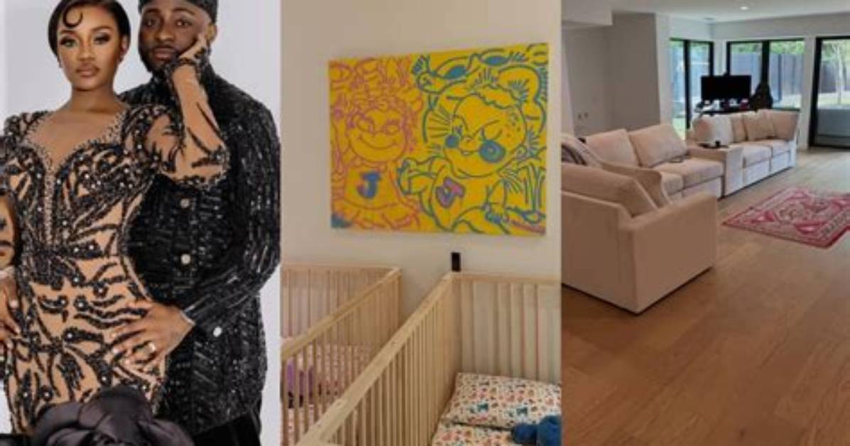 Davido Investment Company: a Glimpse into the Business Ventures of a Music Icon