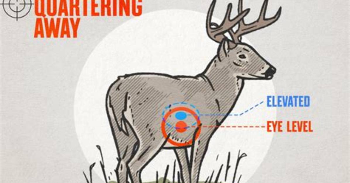 Deer Tail Twitching After Shot