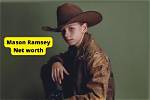 Demystifying Mason Ramsey's Net Worth: the Unrevealed Story