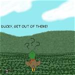 Did Ducky Really Die: Questions Answered