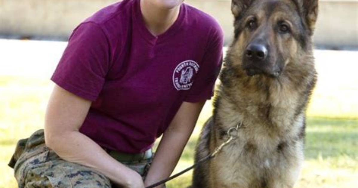 Did Megan Leavey Get Married? a Journey Through Love and Service