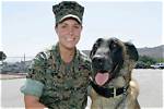 Did Megan Leavey Marry Matt Morales in Real Life? Unveiling the Truth