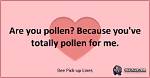 Discover Irresistible Bee Chat-up Lines