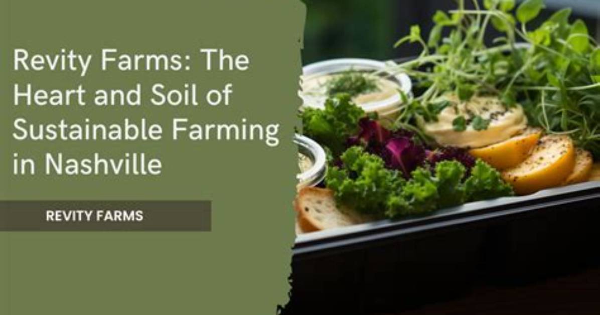Discover the Heart of Sustainable Farming: Knucklebump Farms