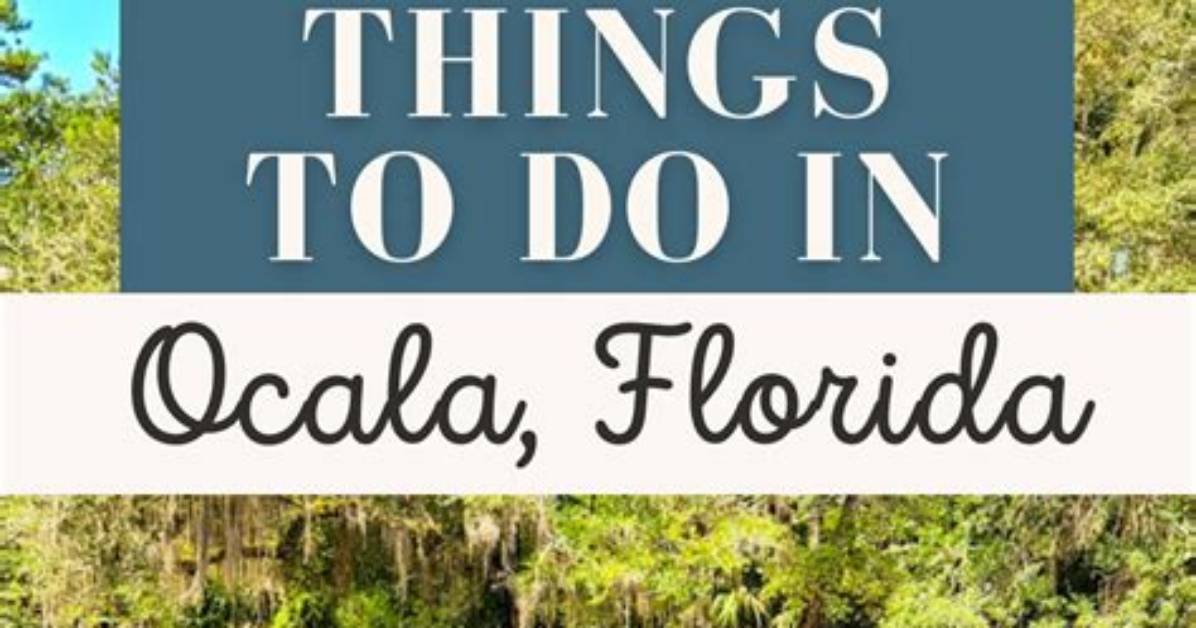 Discover the Hidden Gems of Ocala, Florida