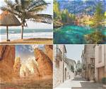 Discover the Hidden Gems of Skip the Games Sarasota Florida