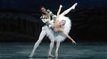 Discoveries and Insights for Ballet Aficionados