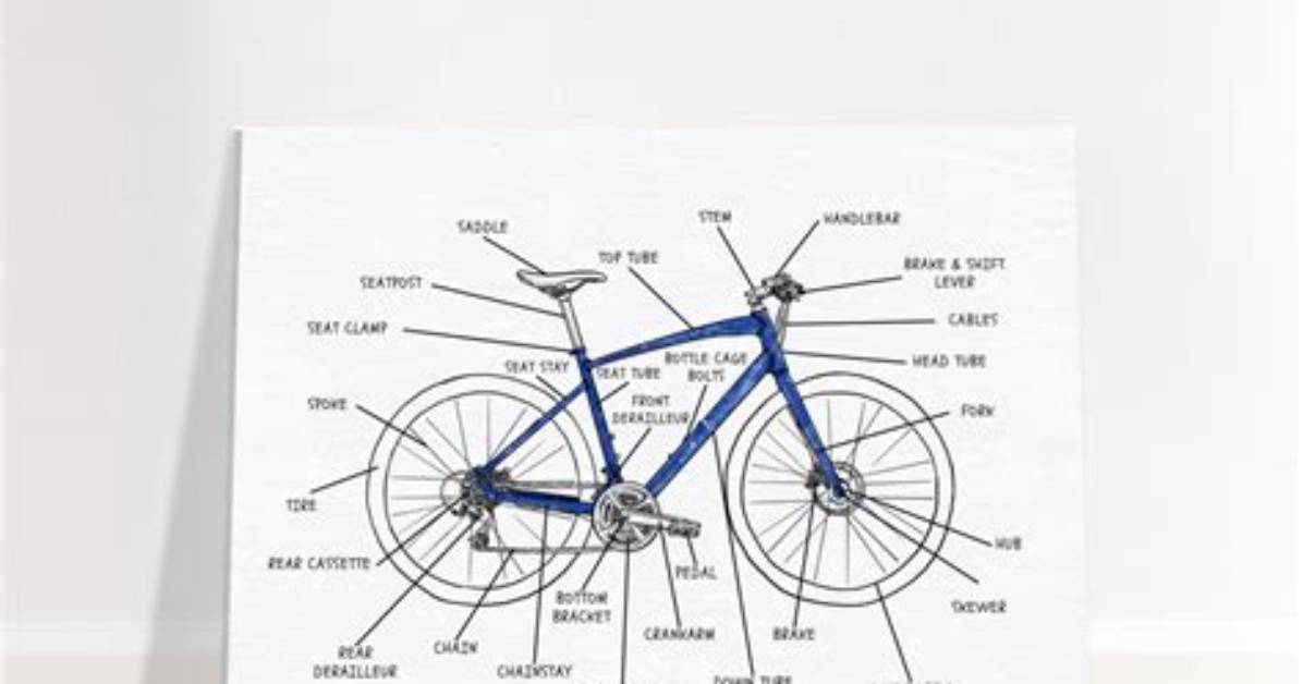 Discoveries for the Discerning Cyclist