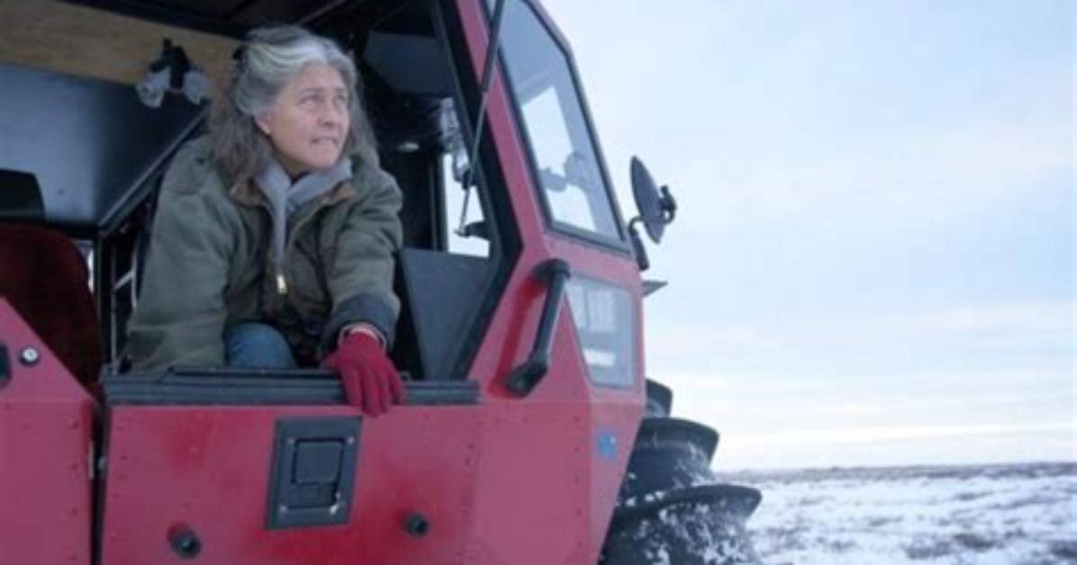 Discovering Life Below Zero Sue: a Journey into the Wild