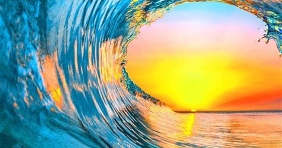 Discovering the Beachcutie of Summer: a Wave of Charm and Style