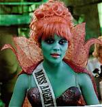 Discovering the Enigmatic Miss Argentina Beetlejuice