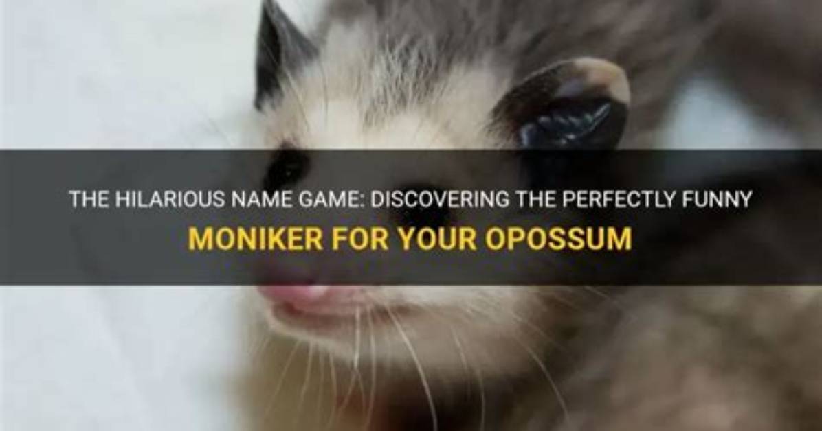 Discovering the Hilarious World of Funny Named Colors