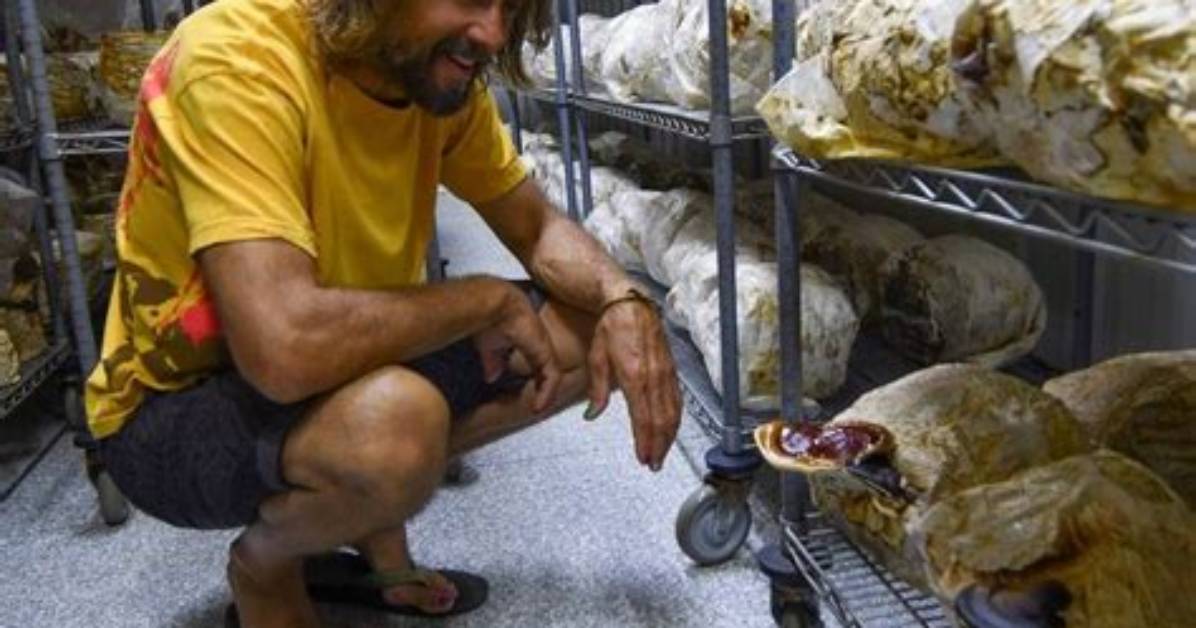Discovering the Life of Jake Plummer's Wife