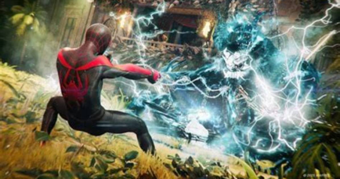 Discovering the Mystique of the Sophierain Spider