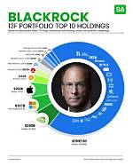 Discovering the Vast Portfolio: What Does Blackrock Own?