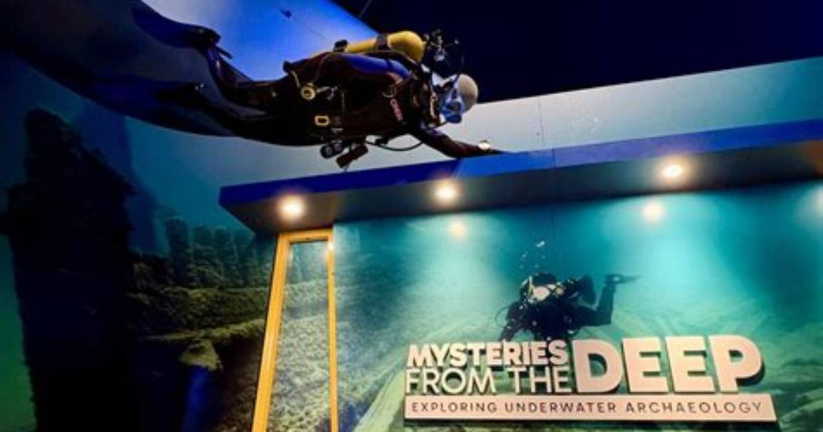 Dive into Untold Stories and Hidden