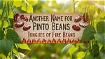 Do You Know Pinto Beans' Other Name?