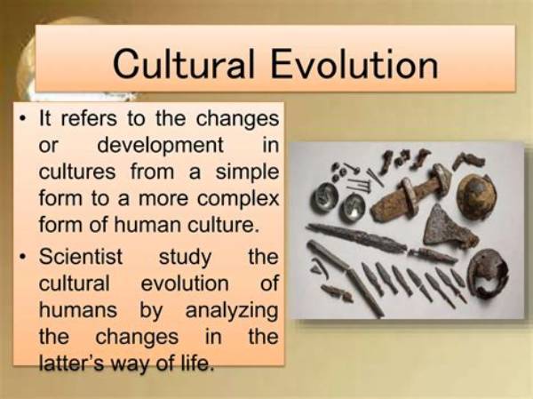 Donny and the Evolution of a Cultural Phenomenon