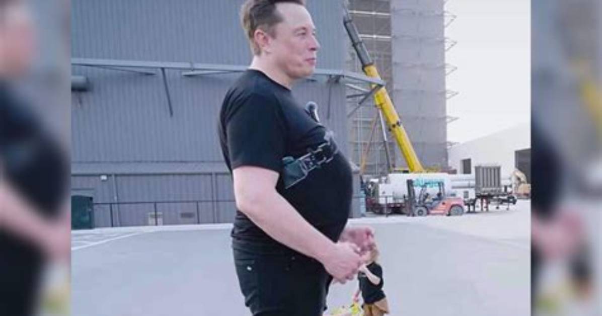Elon Musk: the Unfortunate Reality of Body Shaming
