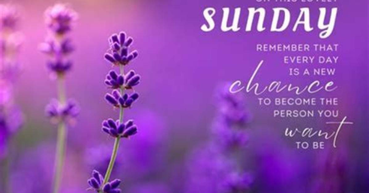 Embracing the Serenity of a Beautiful Sunday Good Morning