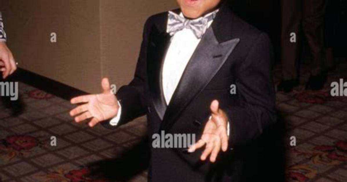 Emmanuel Lewis's Perspective on Fatherhood