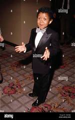 Emmanuel Lewis: the Diminutive Star and His Enduring Legacy